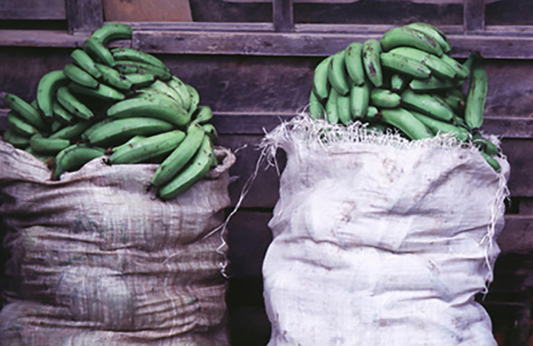 42bananas_india-2-